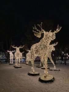 Moose Christmas Lights