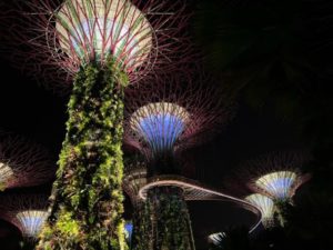 Gardens by the Bay attraction in Singapore
